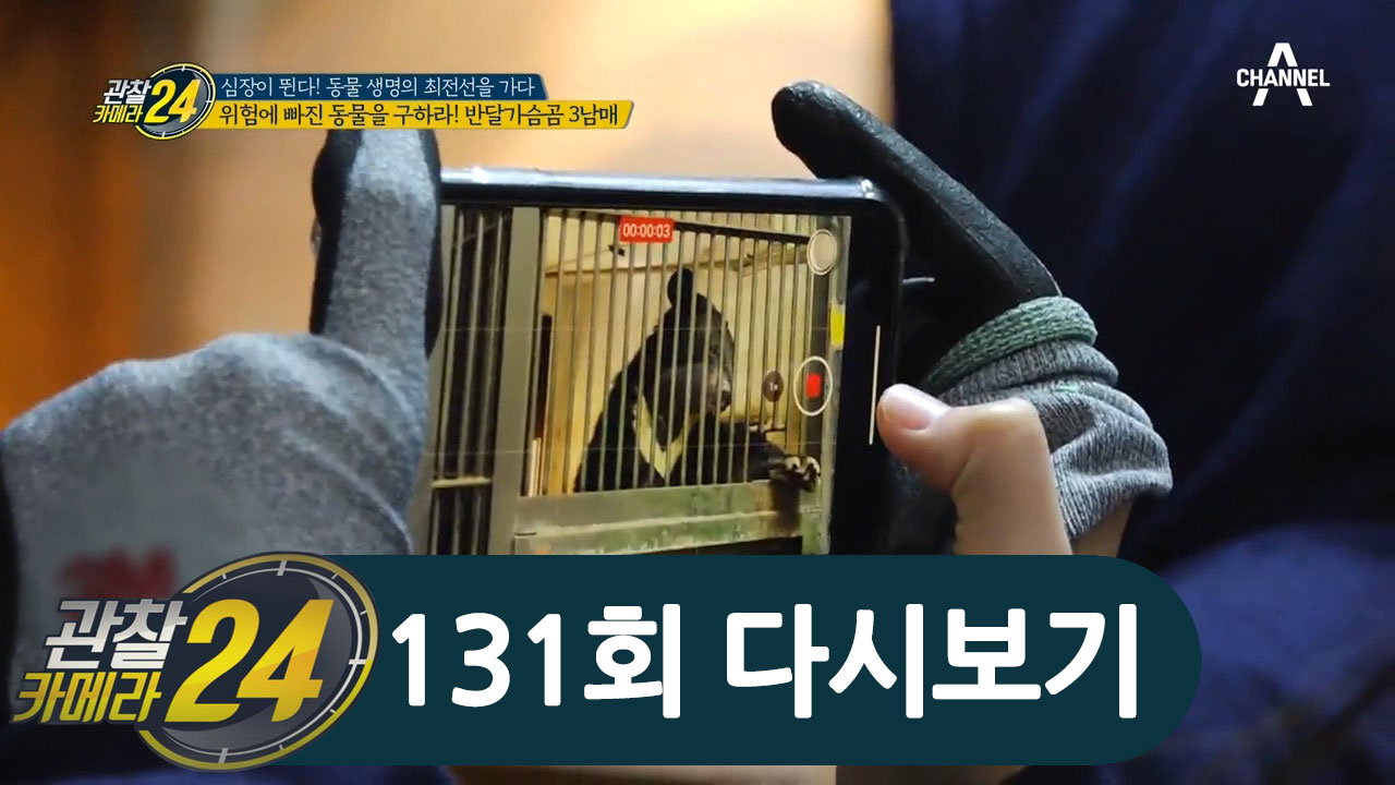 ◈위험에 빠진 동물을 구하는 사람들◈ 이들이 말하는 진정한 동물복지란?