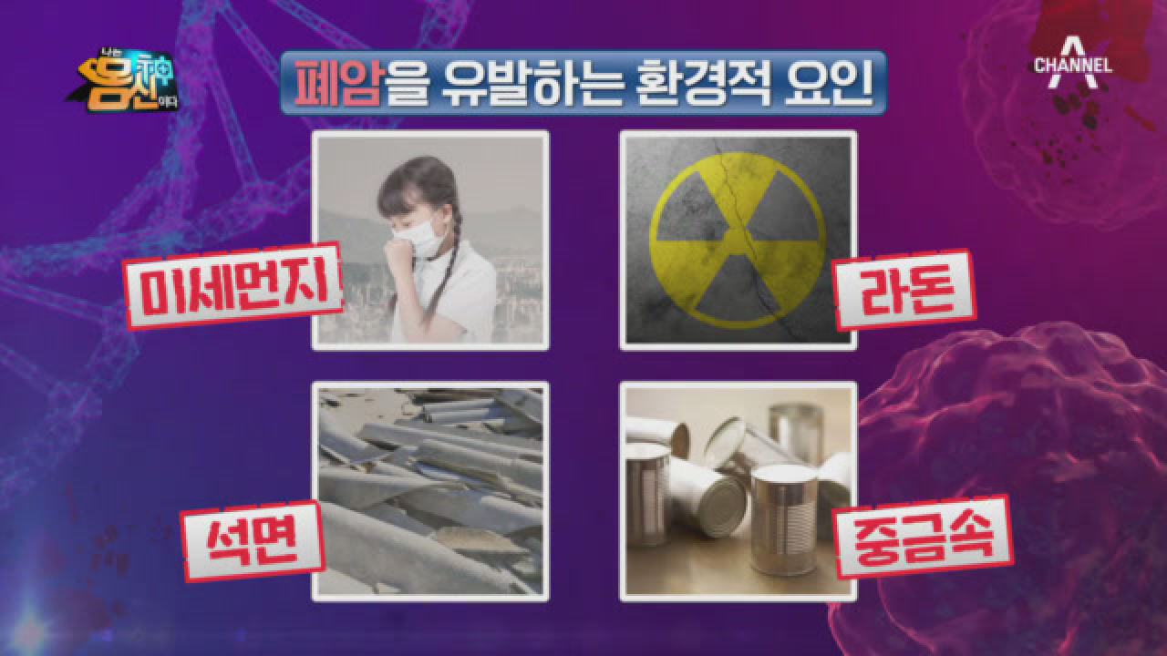 우리가 사는 주거 환경도 안심할 수 없다! ★폐암을 유발하는 환경적 요인들★