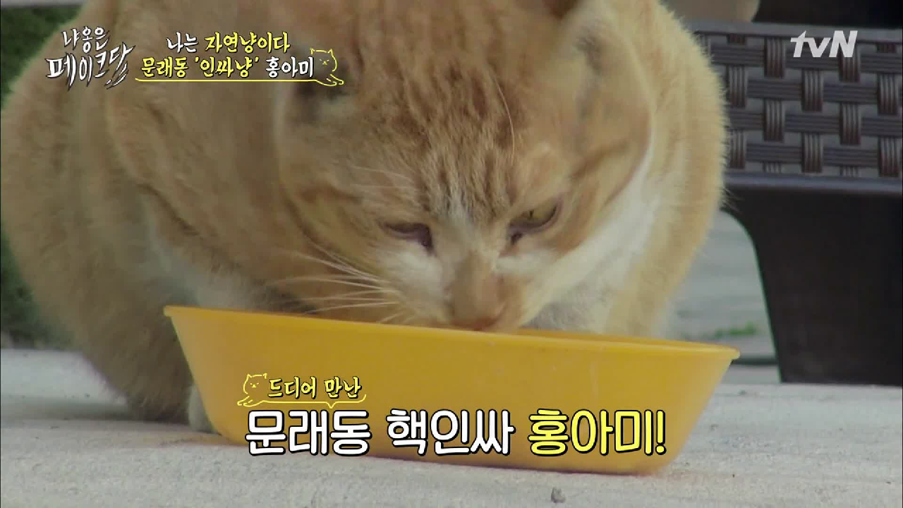 thumb.png?ts=1578237488