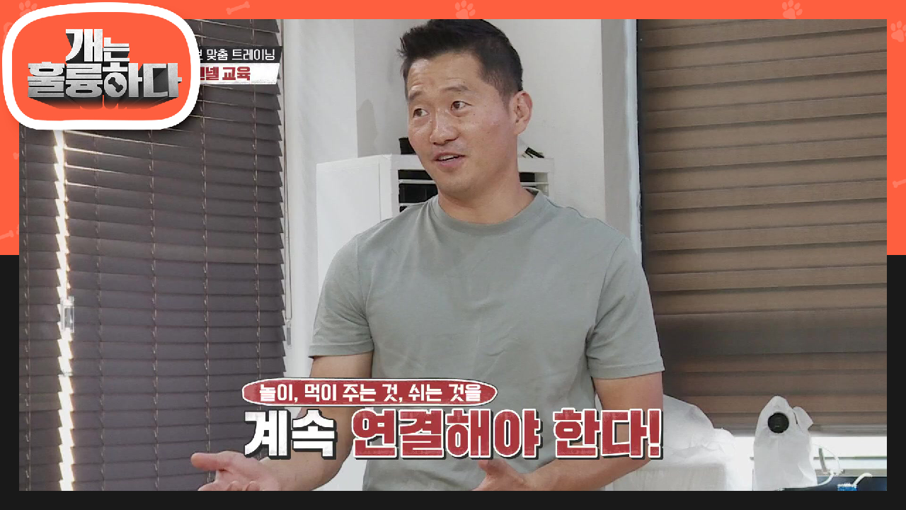 개초보 맞춤 트레이닝 마지막 훈련! 칸넬 훈련 마스터까지! | KBS 210712 방송