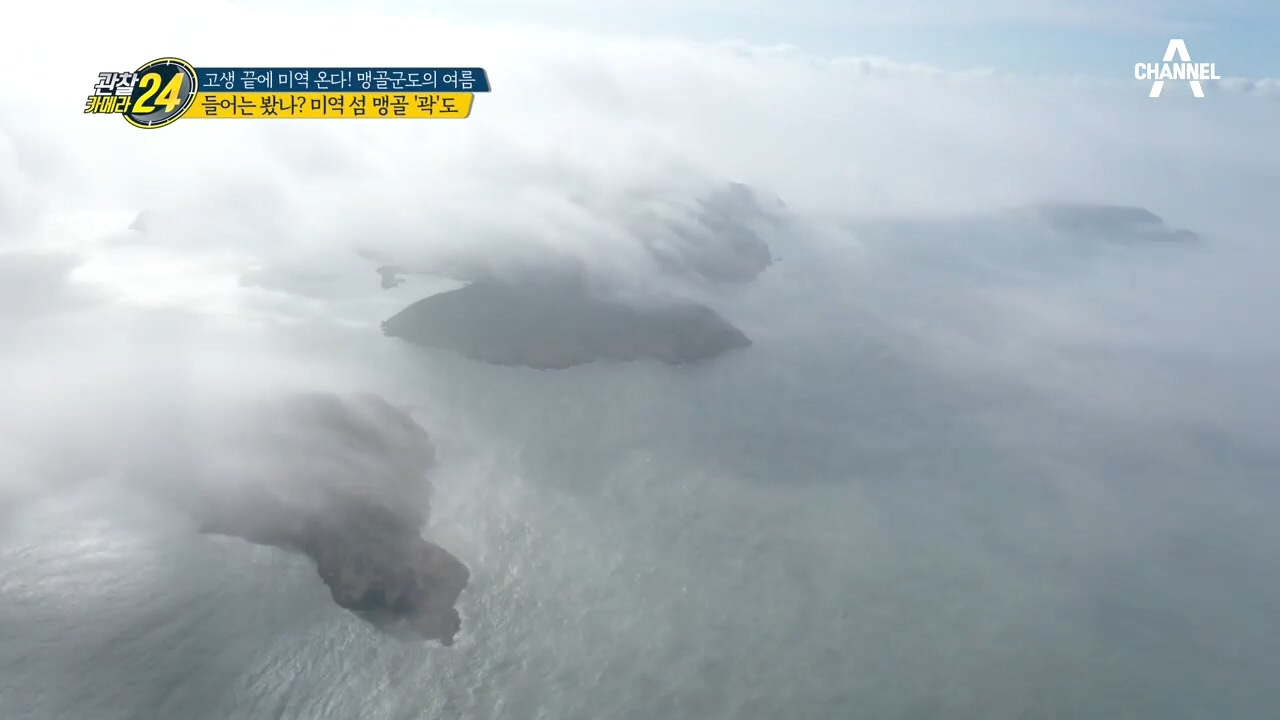 들어는 봤나? 미역 섬 맹골 '곽'도의 백만불짜리 金미역!