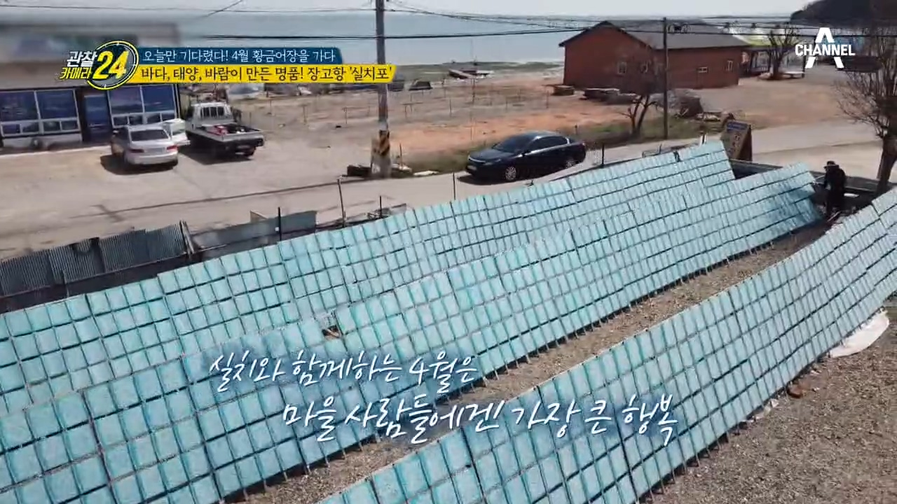 장고항의 명물! 바다와 태양, 바람이 만드는 명품! '실치포'