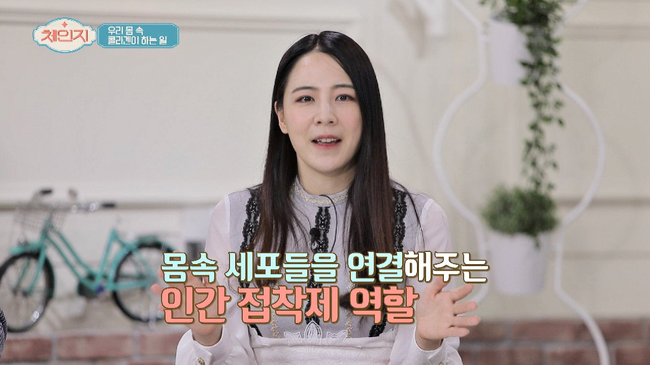 몸속 세포들을 연결해 주는 인간 접착제 [콜라겐]