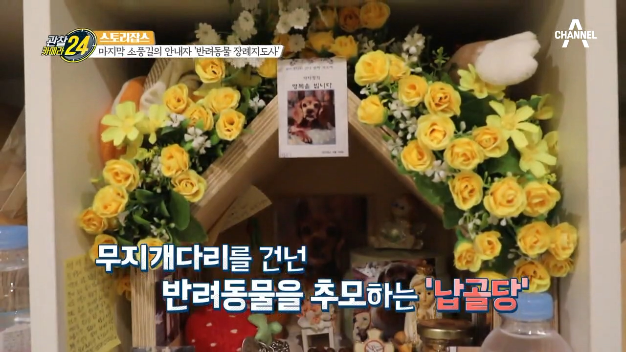 반려동물의 마지막 안내자 '반려동물 장례지도사'