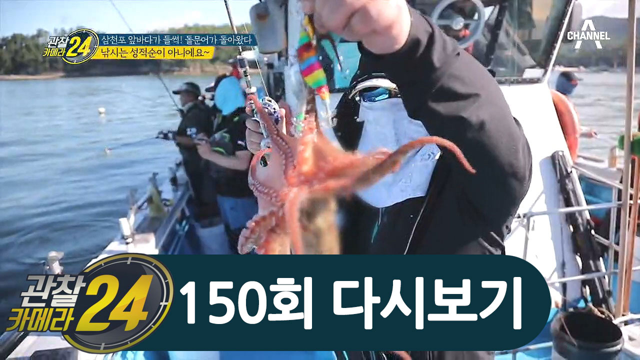 삼천포 앞바다가 들썩! 돌문어의 매력에 푹 빠진 사람들