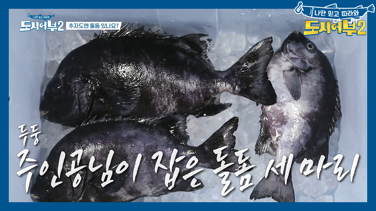 태곤피셜 140만 원의 가치! 자연산 돌돔으로 차리는 진수성찬!