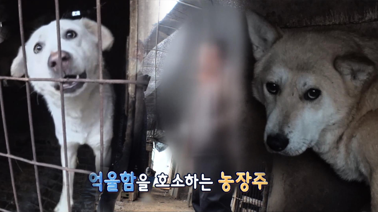 thumb.png?ts=1578794557