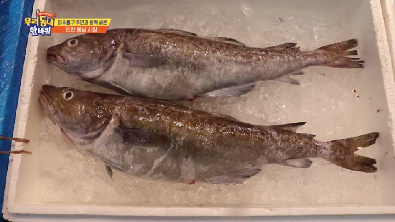 연안부두에서 오는 신선한 해산물을 만날 수 있는 인천 용남시장 생선가게 - kakaoTV 연안부두에서 오는 신선한 해산물을 만날 수 있는 인천... 