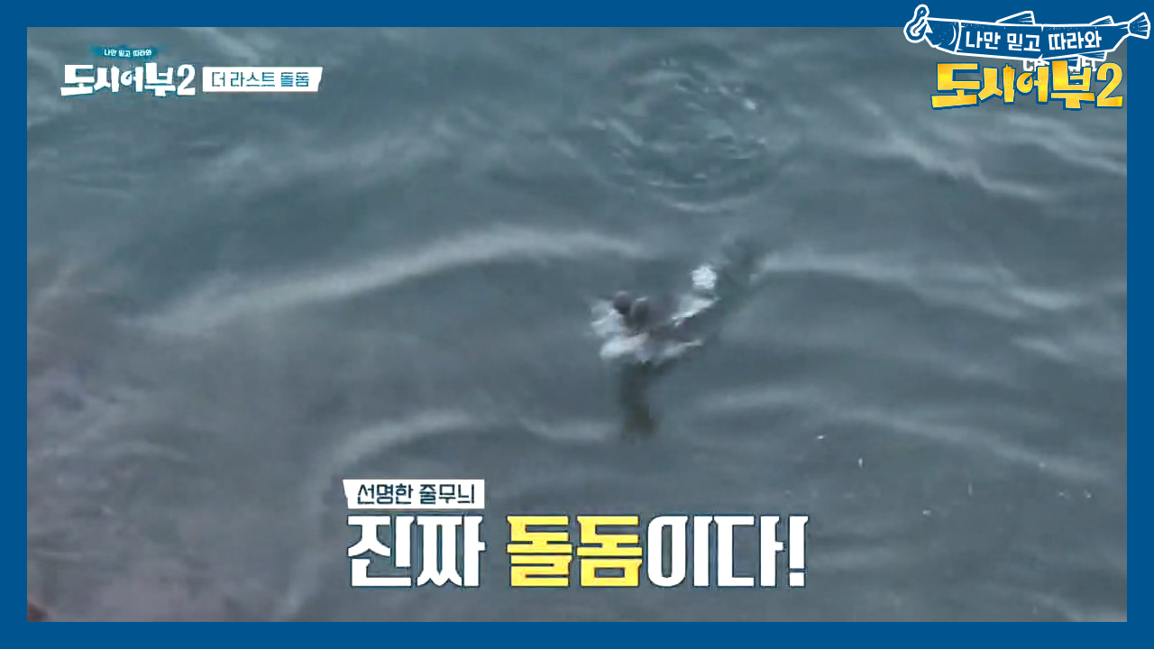 박 프로의 손끝으로 걸리는 입질! 갯바위에서 터지는 34cm 돌돔!