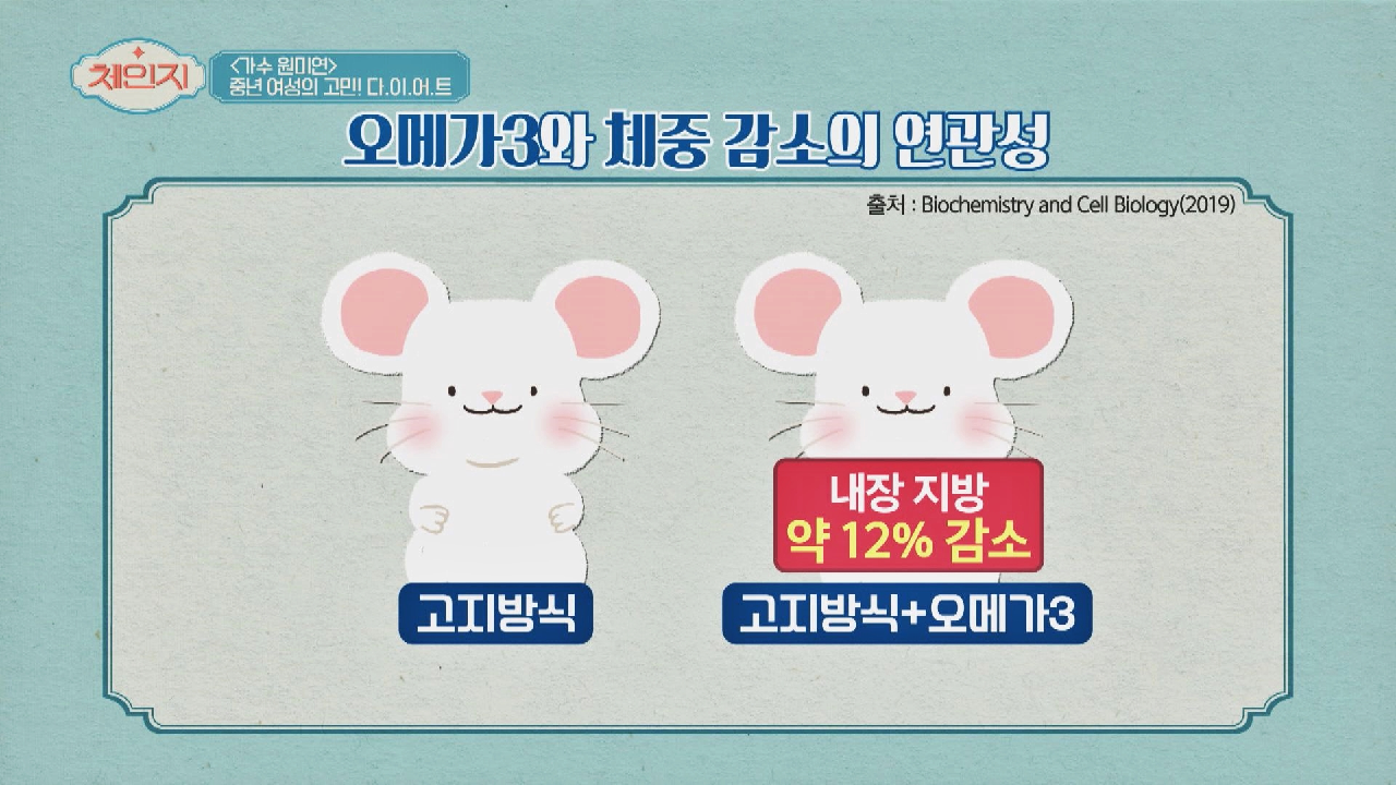 내장 지방 12% 감소↓ 다이어트에 효과적인 &#39;오메가3&#39; | JTBC 210428 방송
