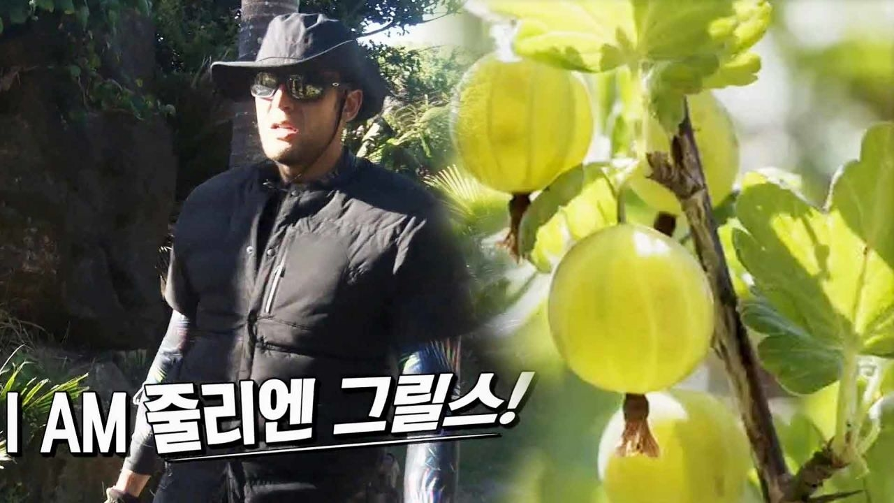 ‘줄리엔 그릴스 탄생’ 구스베리를 찾아서!