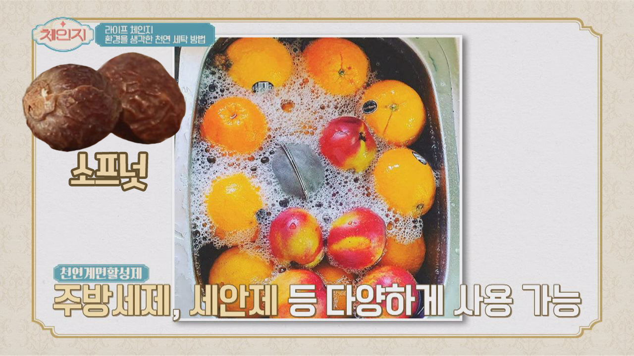 [친환경] 환경을 생각한 천연 열매 세제 ☞ 소프넛