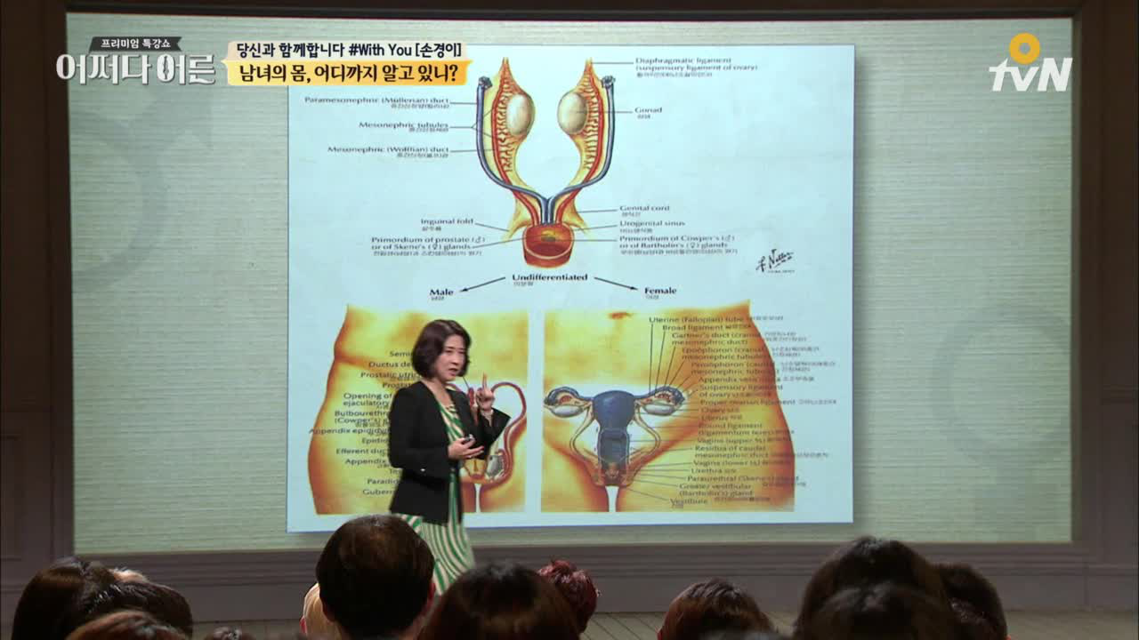 처녀막은 실제로 존재하는가? - 어쩌다어른 129화