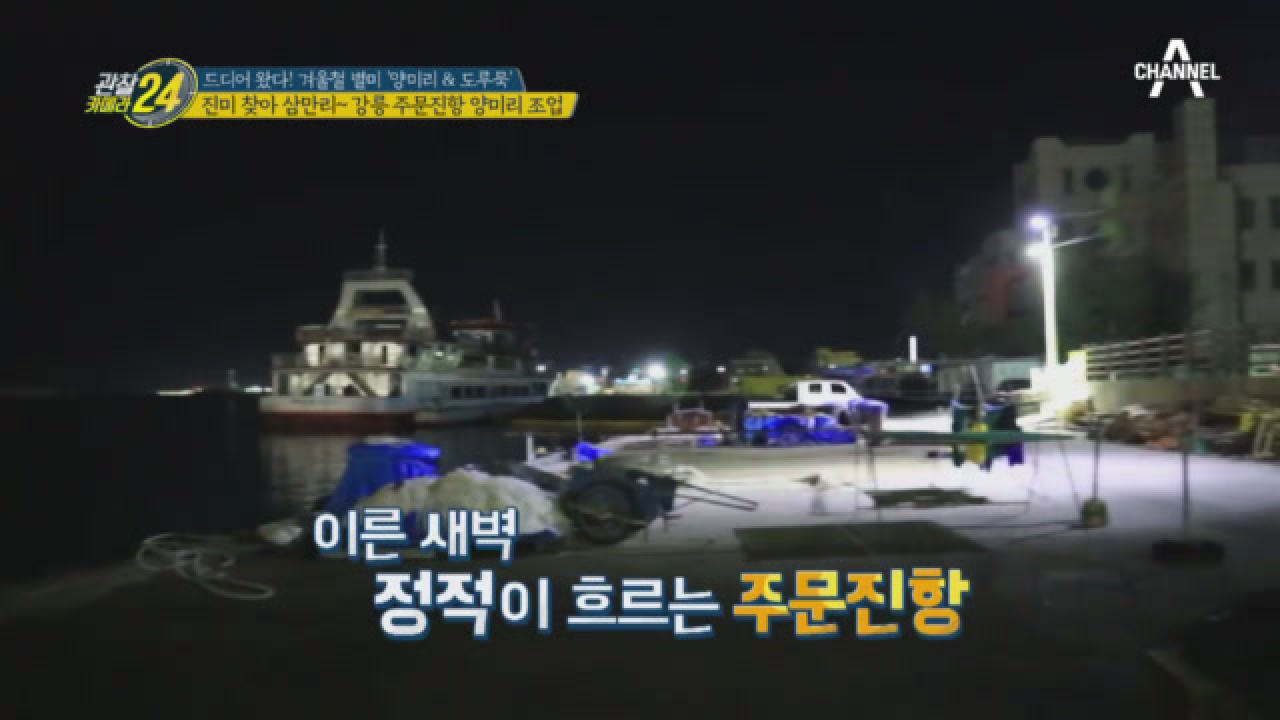 진미 찾아 삼만리~~ 주문진항으로 양미리 조업 관찰하러 간 관찰팀!