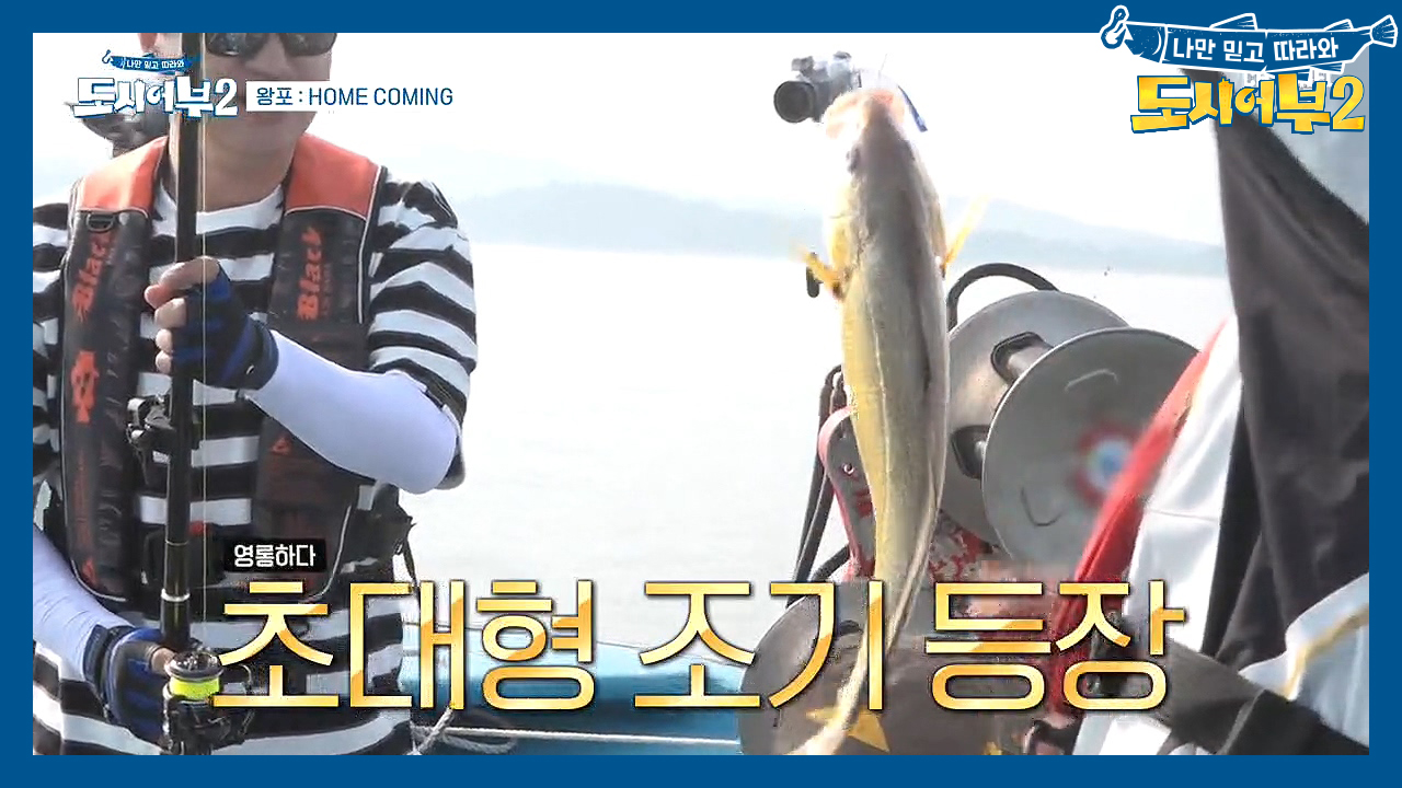 (뜨-헉) 45cm 넘었다?! 대물의 등장↗↗ 과연 상렬의 조기 크기는?