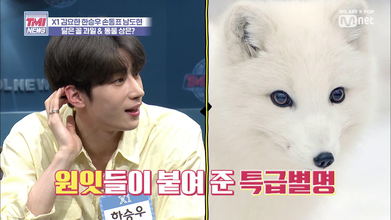[13회] 엑스원이 생각하는 셀프 과일&amp;동물 상은?