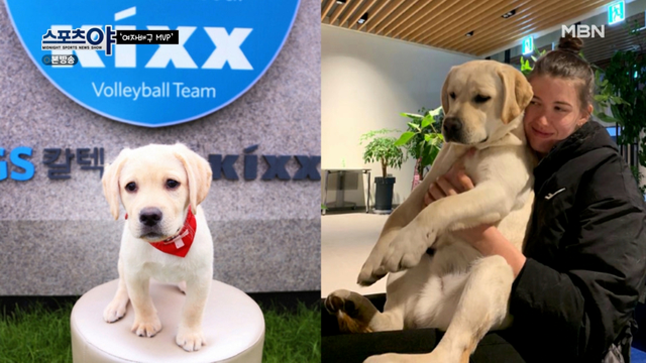 &#39;미친개&#39; 작전 = 미친듯이 놀아보자 MBN 210408 방송