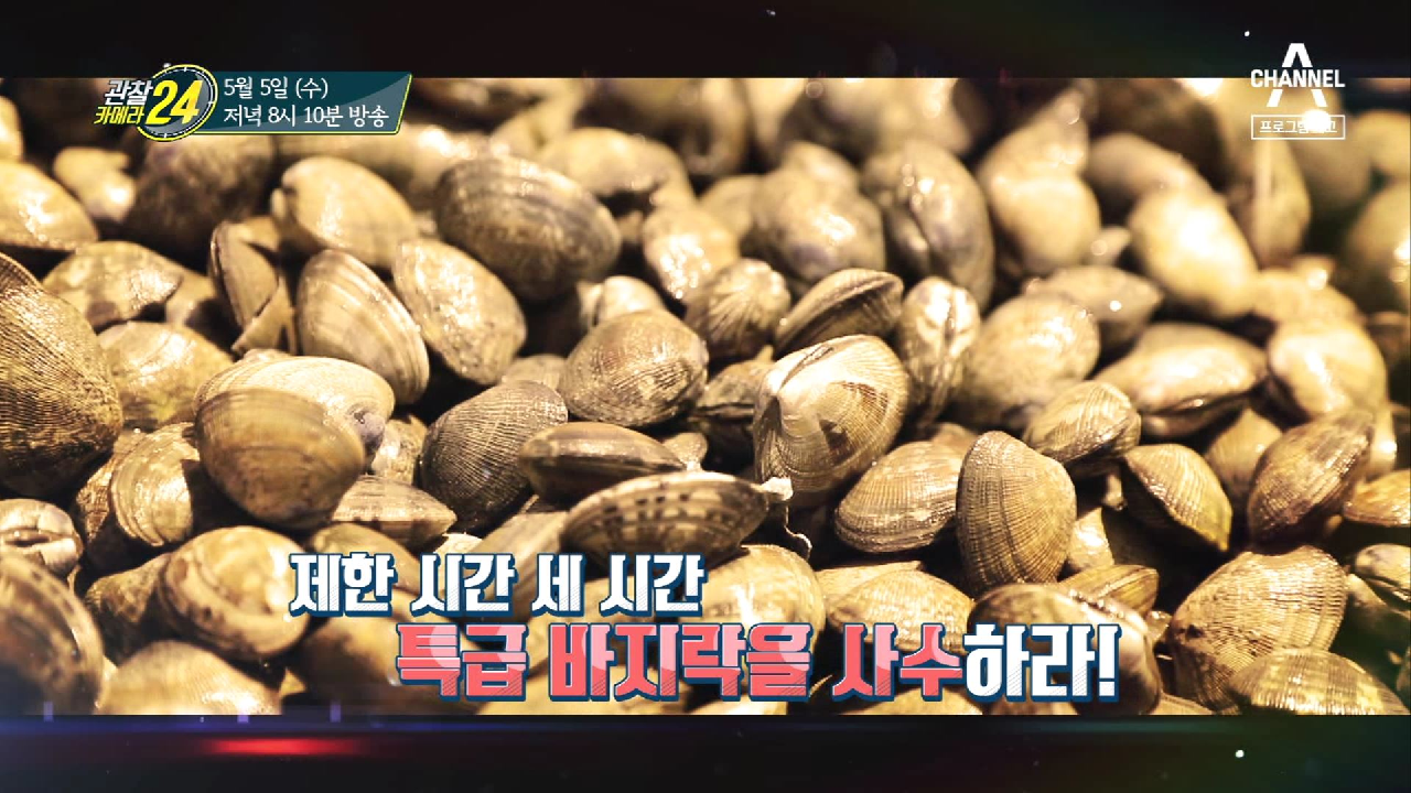 관찰 카메라 24 187회