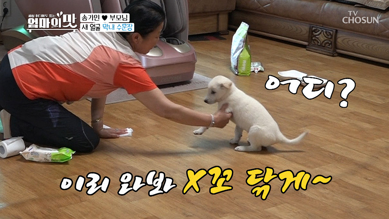 [축]60세에 똥오줌 못 가리는 막내 입양[하] (으..아얔 귀야워)