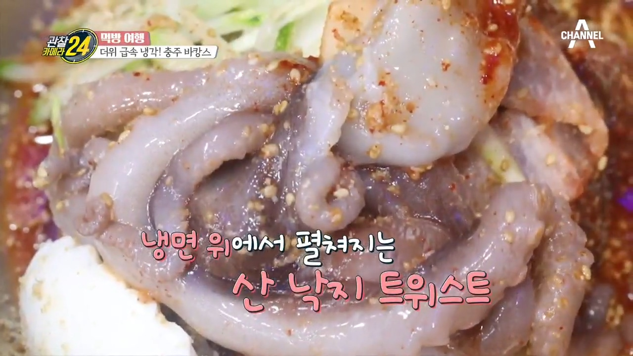 (ఠ ̥̆ ఠ) 산낙지가 통째로?! 낙지반 냉면반 산낙지냉면! 이게 행복 아니면 뭐겠어ෆ