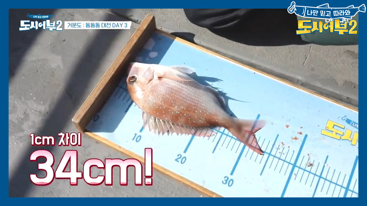 (신남X100) 참돔 드루와~ 드루와아♥ 승부사 경규, 태곤보다 1cm 큰 참돔 낚았다?!