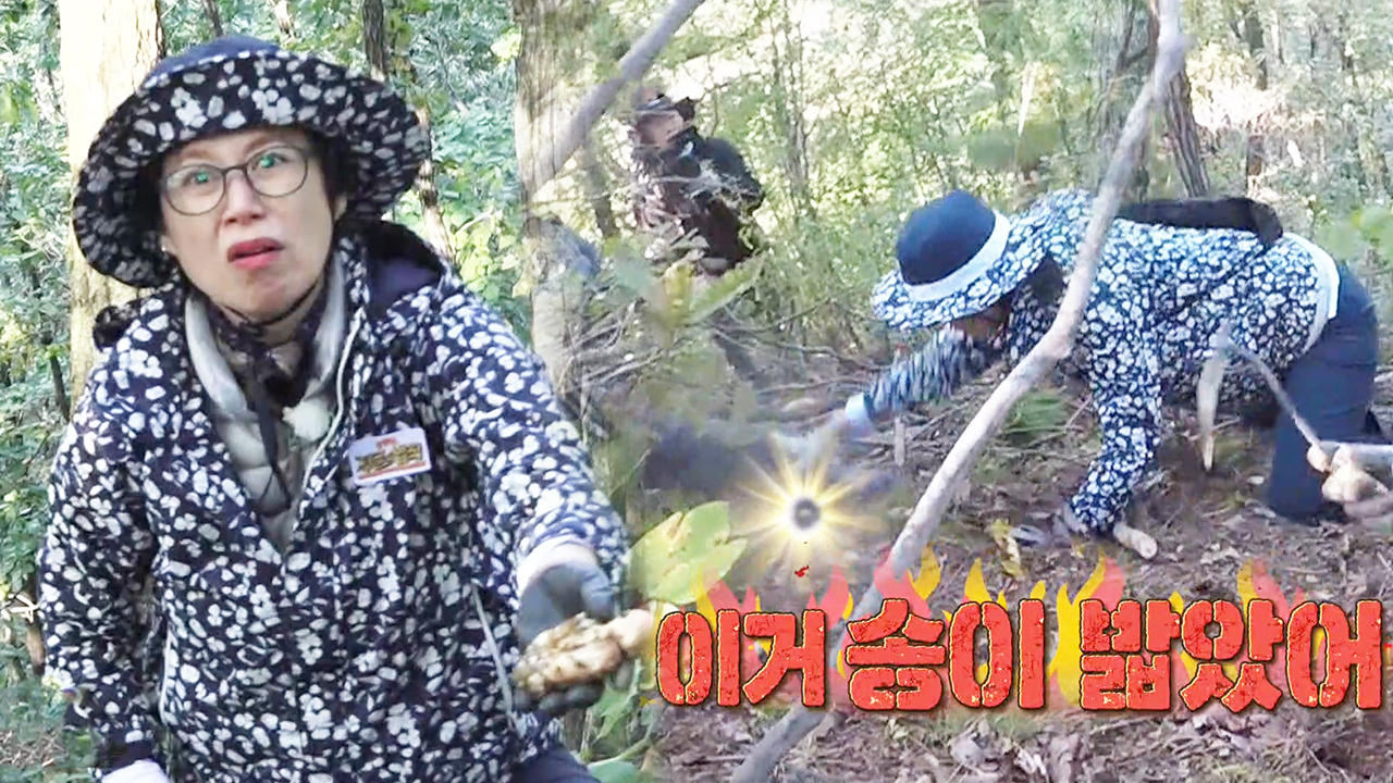 박미선, 실수로 송이버섯 밟은 카메라 감독님에 속상함 분출↗