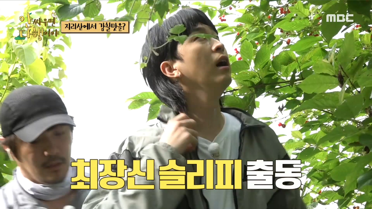 ＂진짜 맛있어!!＂ 달콤~한 앵두 따러 슬리피 출동!, MBC 210621 방송