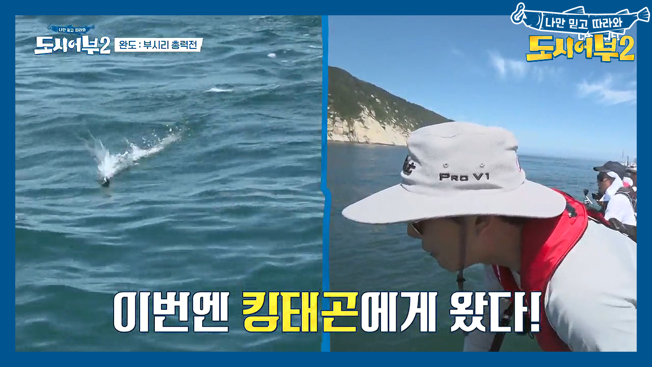 ♨우와ㅏㅏ 사방이 보일링이야!!!!♨ 도시어부들을 흥분하게 만든 보일링 ...