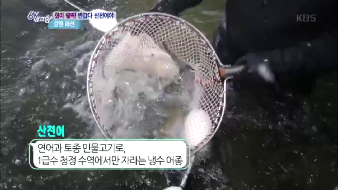 thumb.png?ts=1578652563