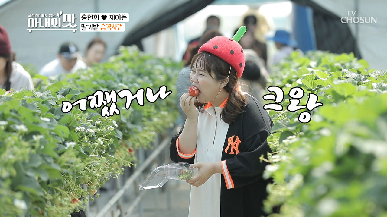 어서와♥ 딸기 이모&amp;딸기 삼촌 부부 체험 삶의 현장