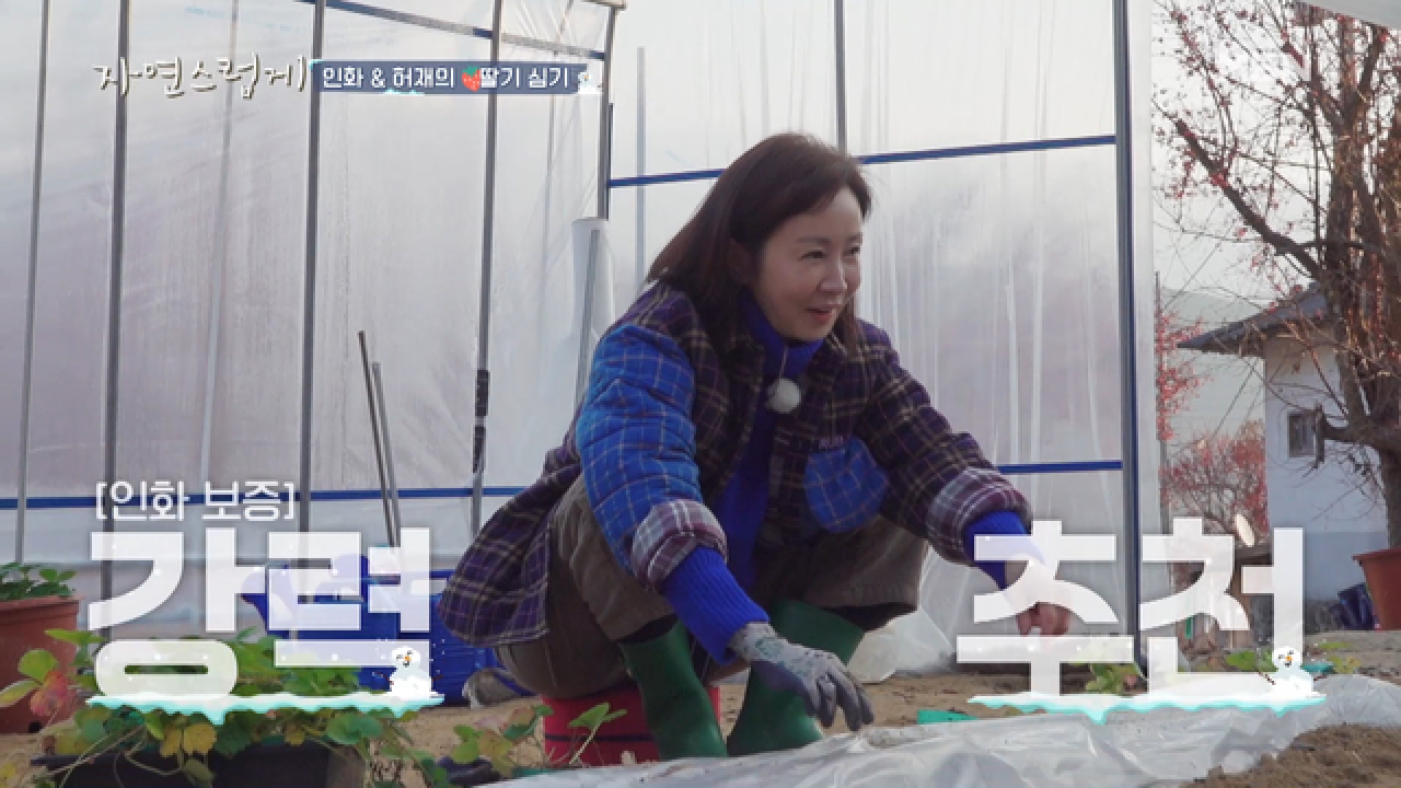농사 마스터 전인화의 비밀 병기는 엉뽕(?)의자