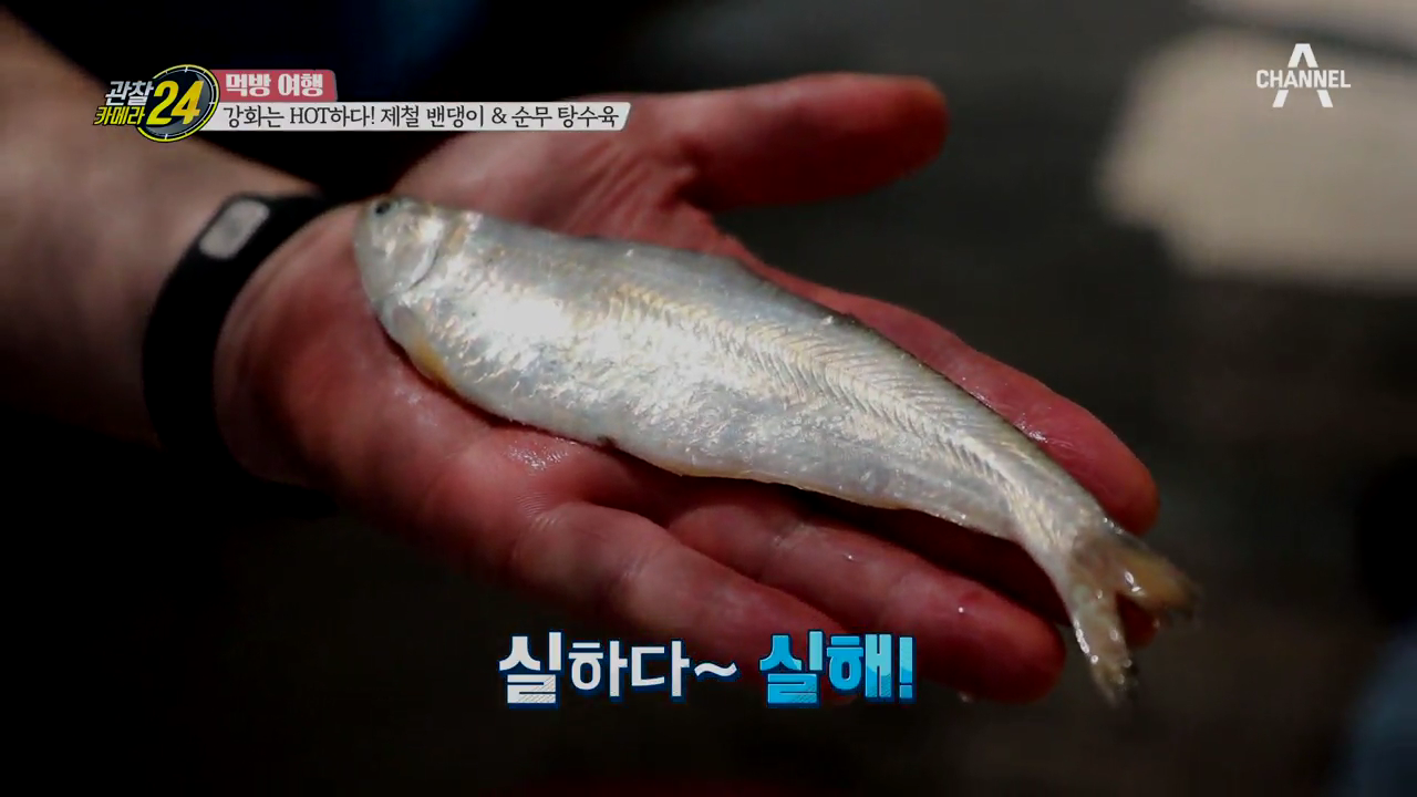 고소한 맛, 기름진 맛! 강화 밴댕이