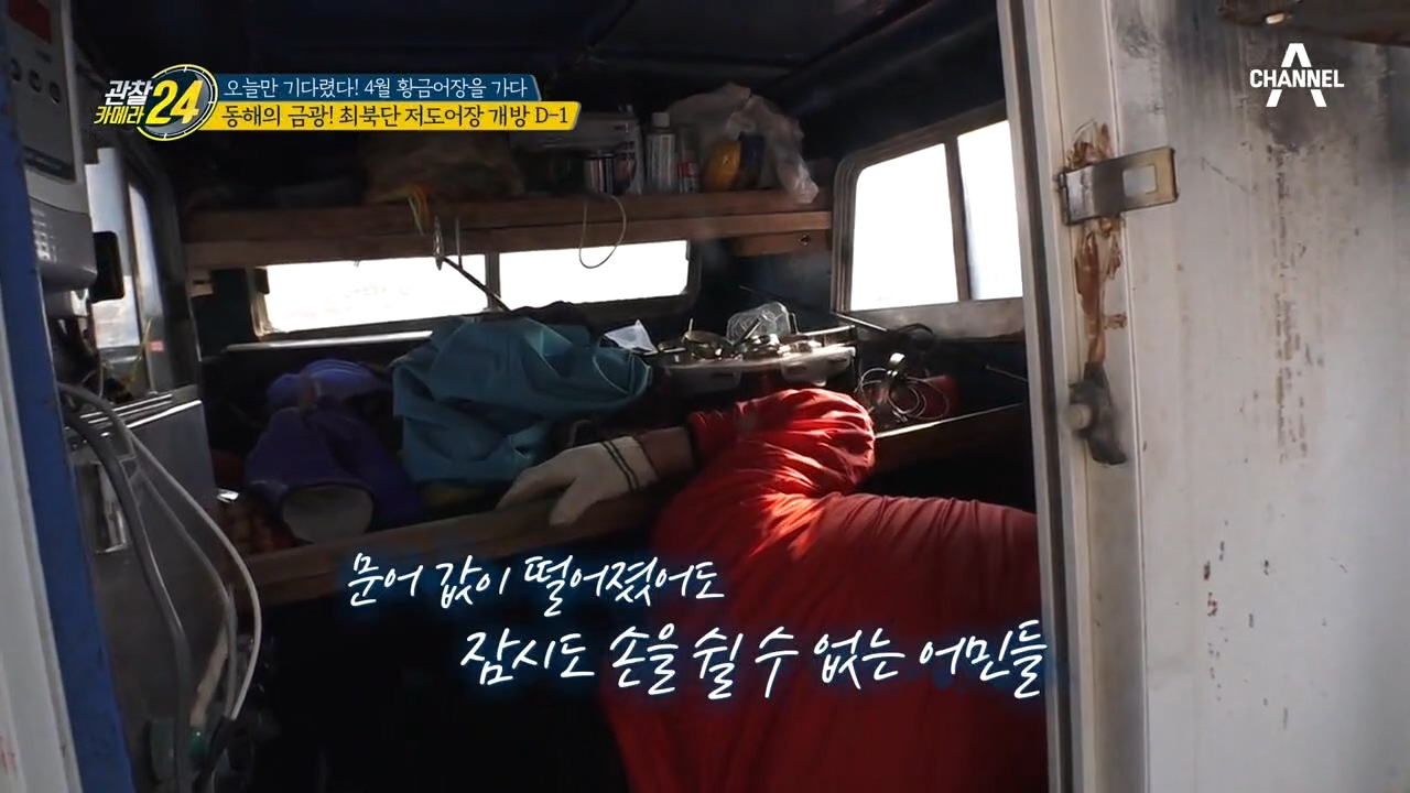 (폭풍전야)4월 동해의 금광! 최북단 저도어장 개방 D-1 풍경은?!