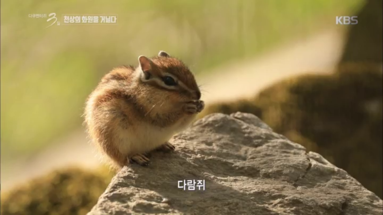 천상의 화원을 거닐다