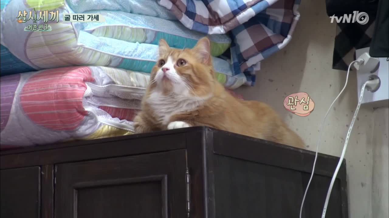 쿵몽이와 함께 마성의 에릭놀이