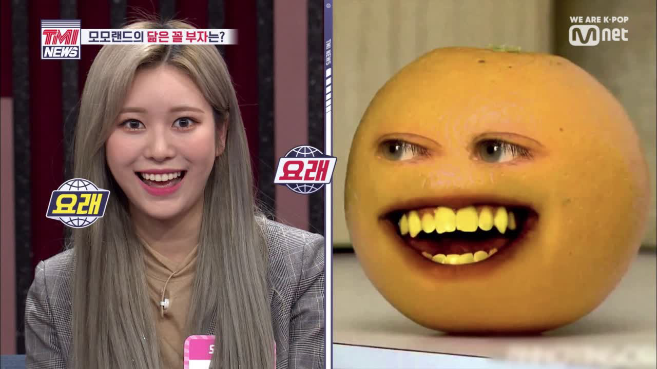 [3회] 낸시 제보 ㅣ 모모랜드의 닮은꼴 부자는?