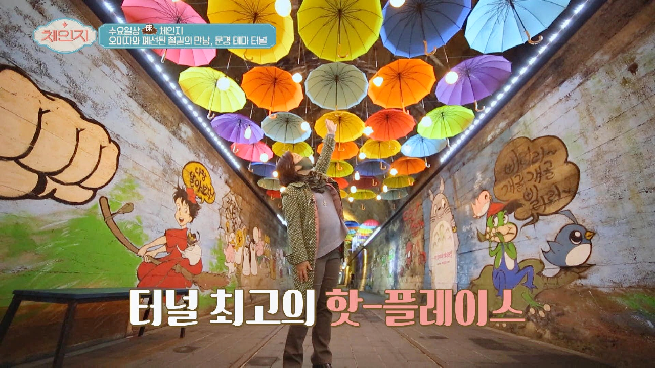 오미자?와 만나 핫플레이스로 재탄생한 &#39;문경 테마 터널&#39;
