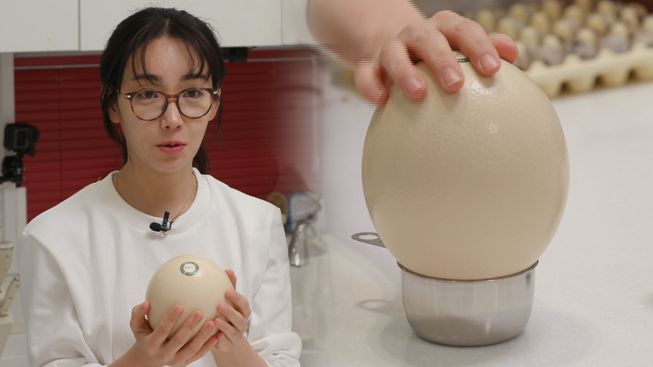 [19회 티저] 주제는 달걀이지만 타조알까지 섭렵하는 이유리 클라쓰......