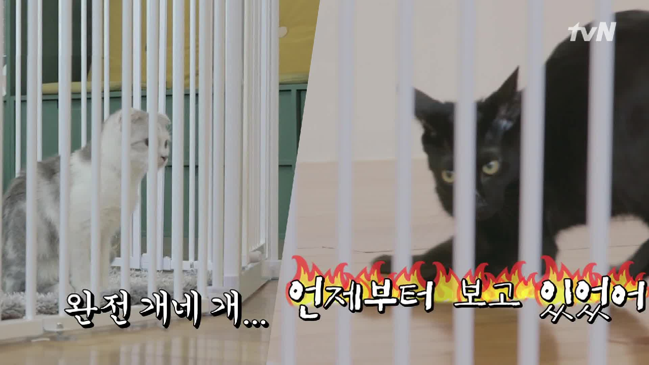 thumb.png?ts=1578237487