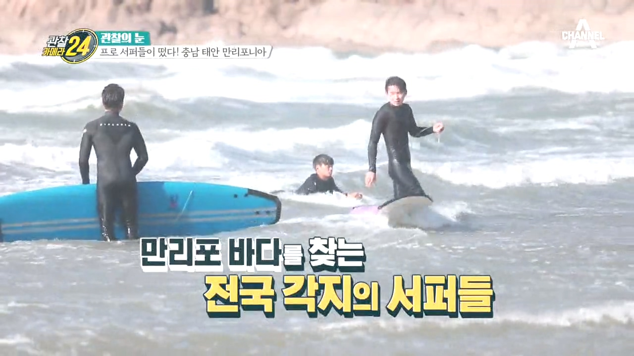 프로 서퍼들이 떴다! 충남 태안 만리포니아로 모이는 이들!