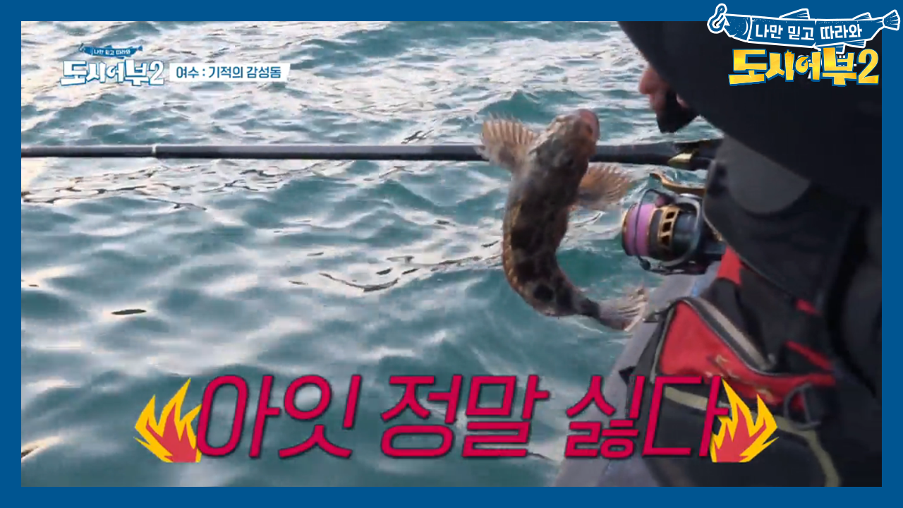 황금배지의 주인공은 누가 될 것인가? 배지 빼앗기기 싫은 경규어른이