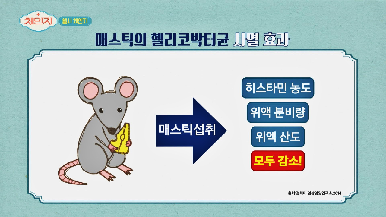 위 질환의 원인 헬리코박터균 박멸의 마스터키☞ 매스틱♧