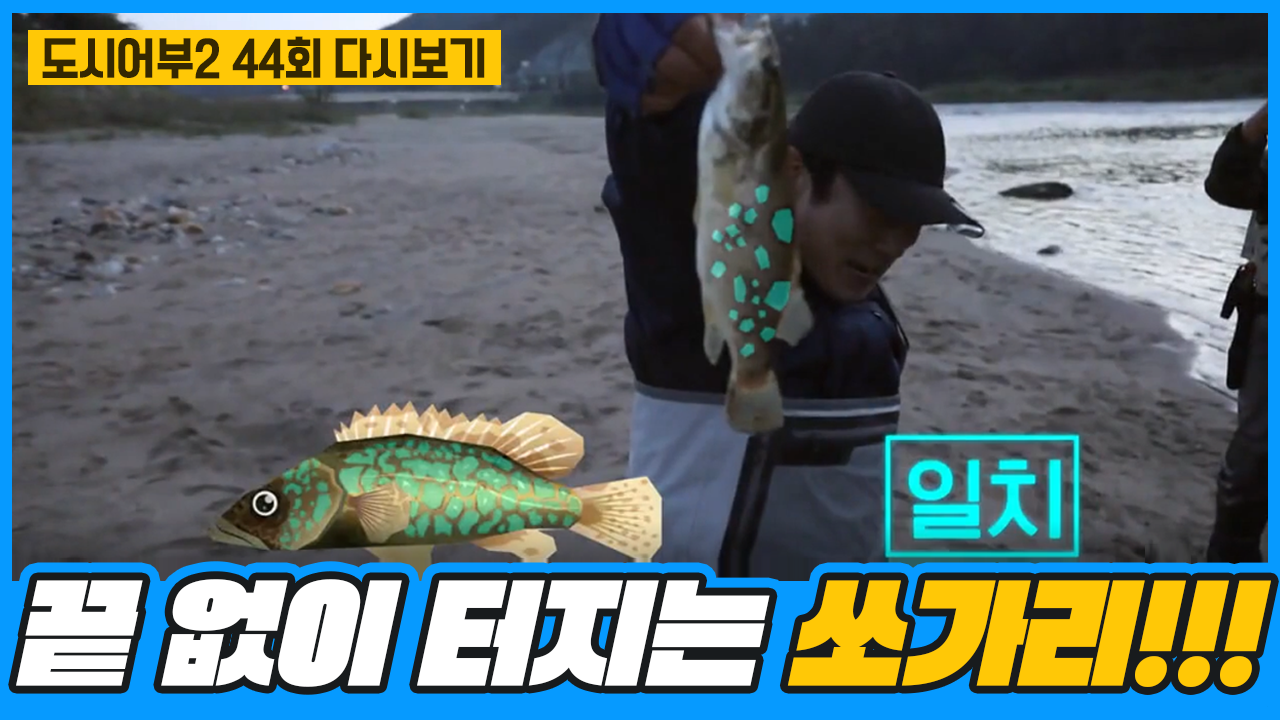 ★끝없이 터지는 입질★ 내가..내가 쏘가리라니..! (feat.꺽지밭)