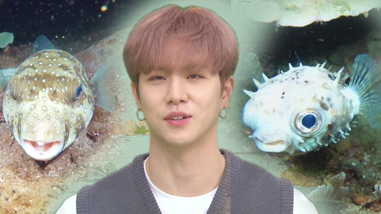 ‘정글의 법칙 팬’ 김동한, 그와 함께하는 신비한 바다 탐사