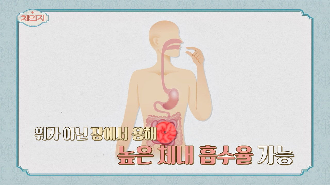 일반 오메가3보다 체내 흡수율이 높은 「알티지 오메가3」 | JTBC 210324 방송