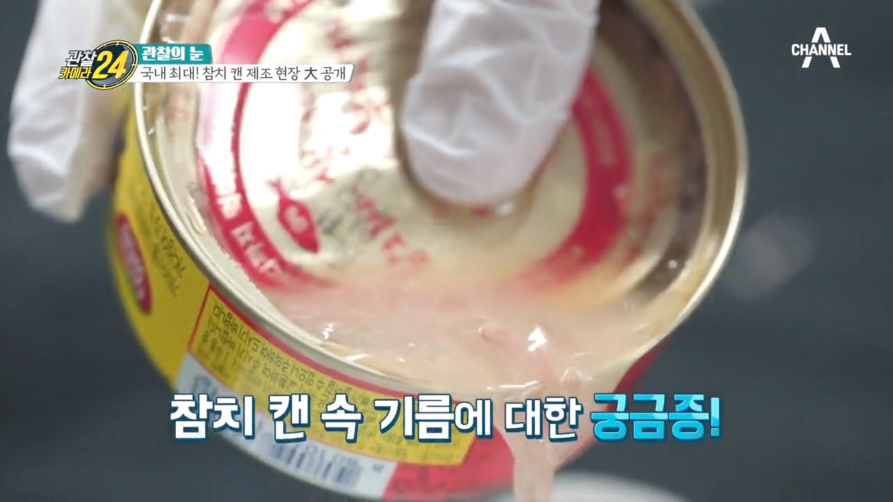 참치 캔 속 기름 먹어도 될까?! 참치 캔 공장장에서 물어봤다!