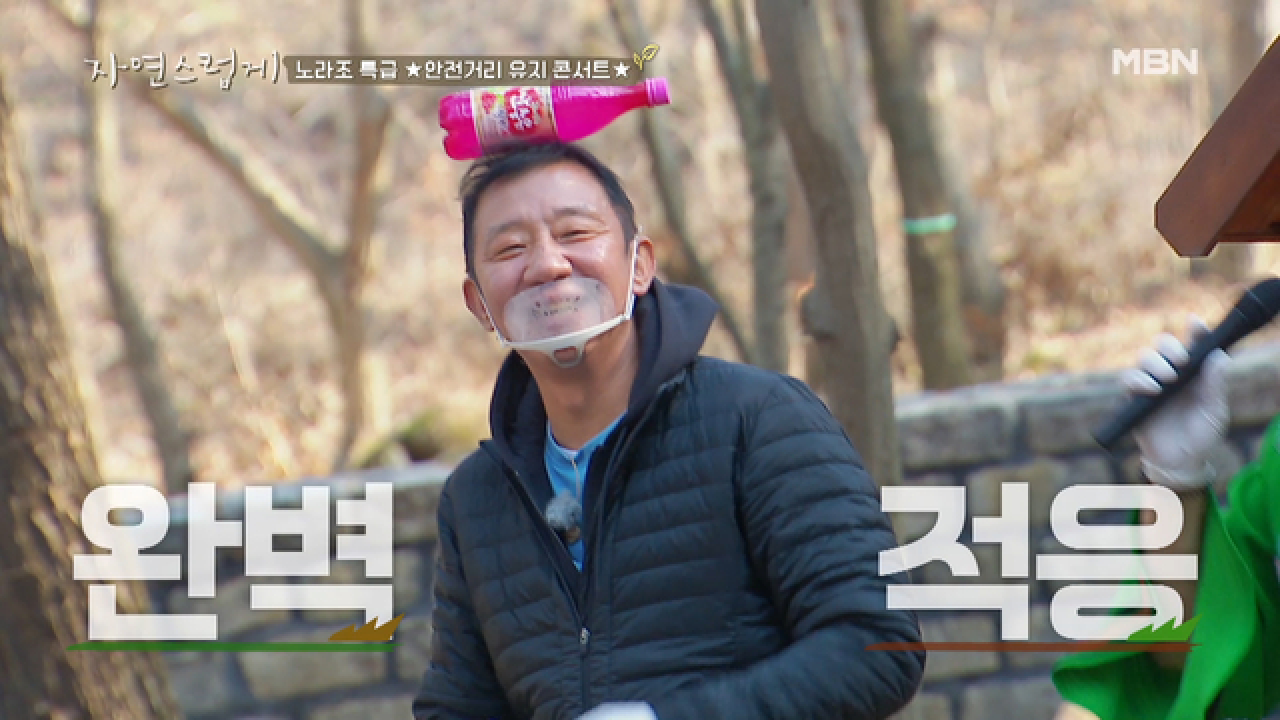 피톤치드만큼 상쾌한 이 음료수, 가슴이 뚫리는 사이다~