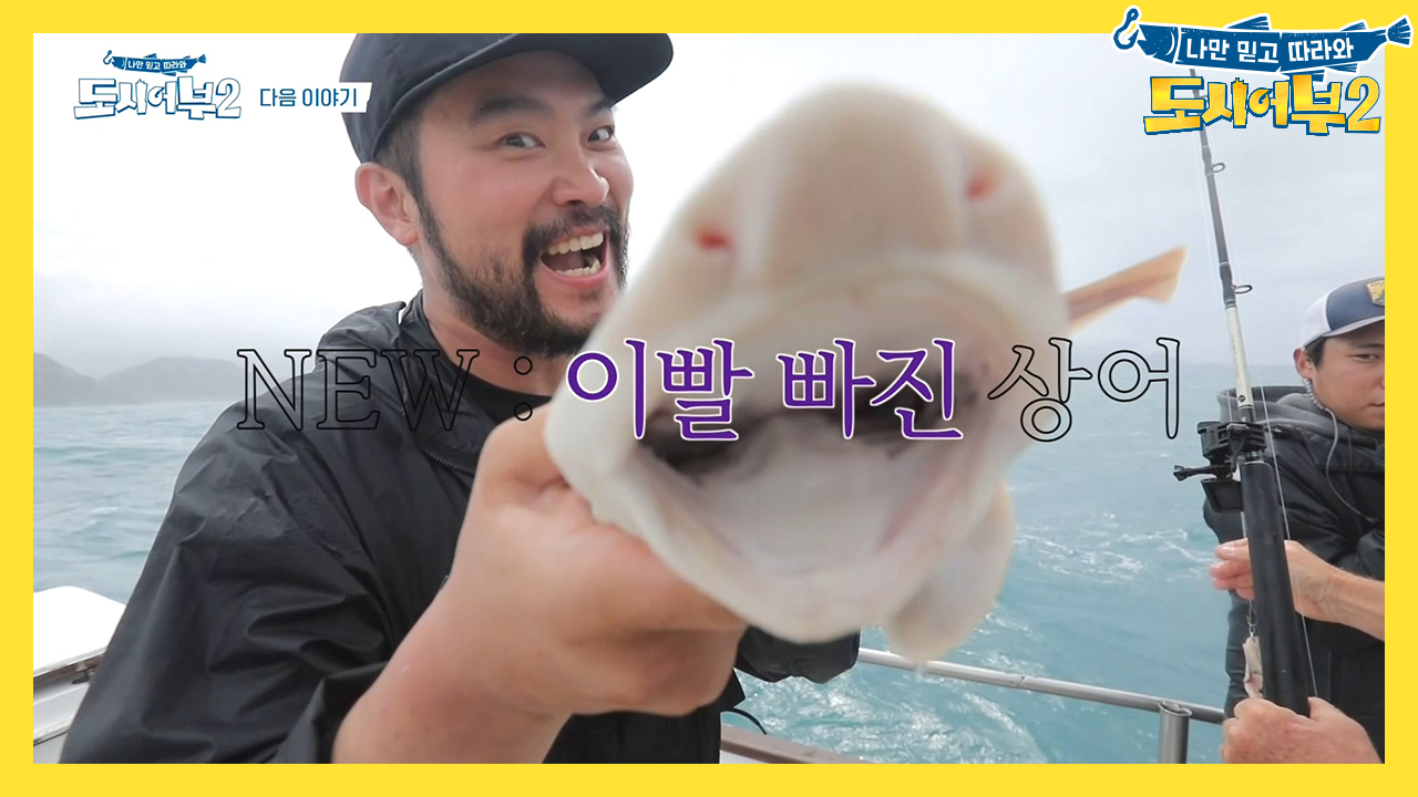 [다음이야기] 쏟아지는 히트 속 NEW 레코드를 세울 주인공은?