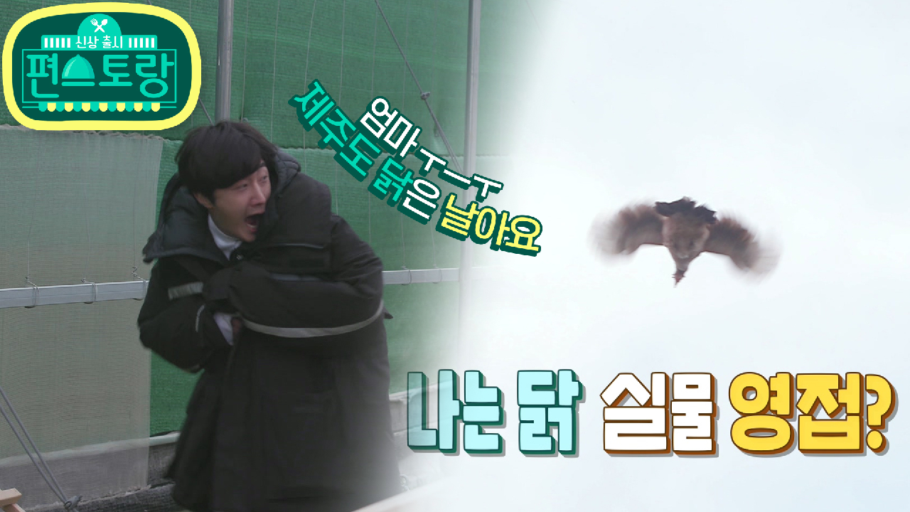 [14회 티저] 일우, 제주도에서 나는 닭 실물 영접?! [신상출시 편스...