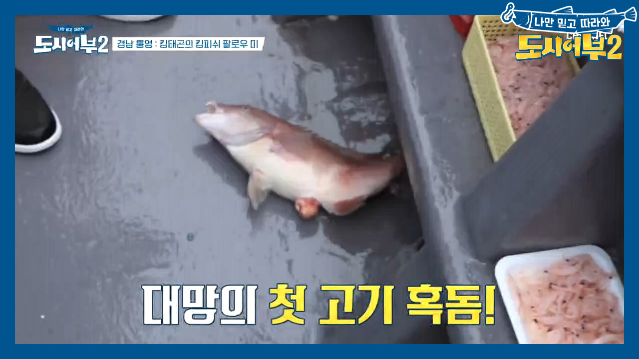 (물었다~) 경규의 놀림감이 된 박 프로! 바닥에 걸린 줄 알았는데 혹돔...